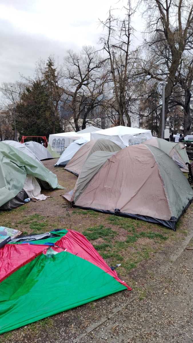 WhatsApp Image 2025-03-11 at 07.54.25_14880dff.jpg