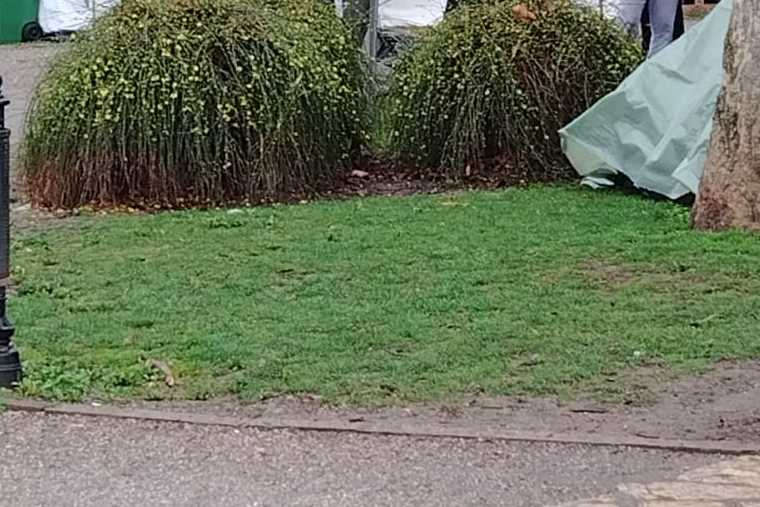 WhatsApp Image 2025-03-11 at 07.59.18_e5647285.jpg