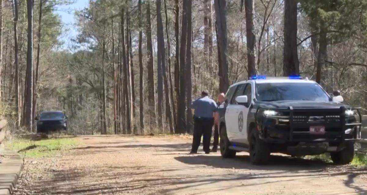 Screenshot 2025-03-11 080002.jpg