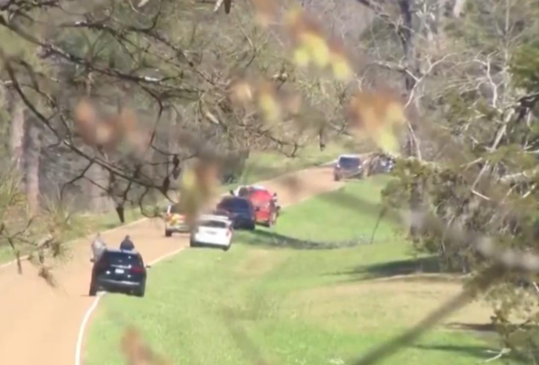 Screenshot 2025-03-11 075942.png