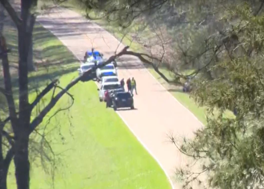 Screenshot 2025-03-11 075909.png