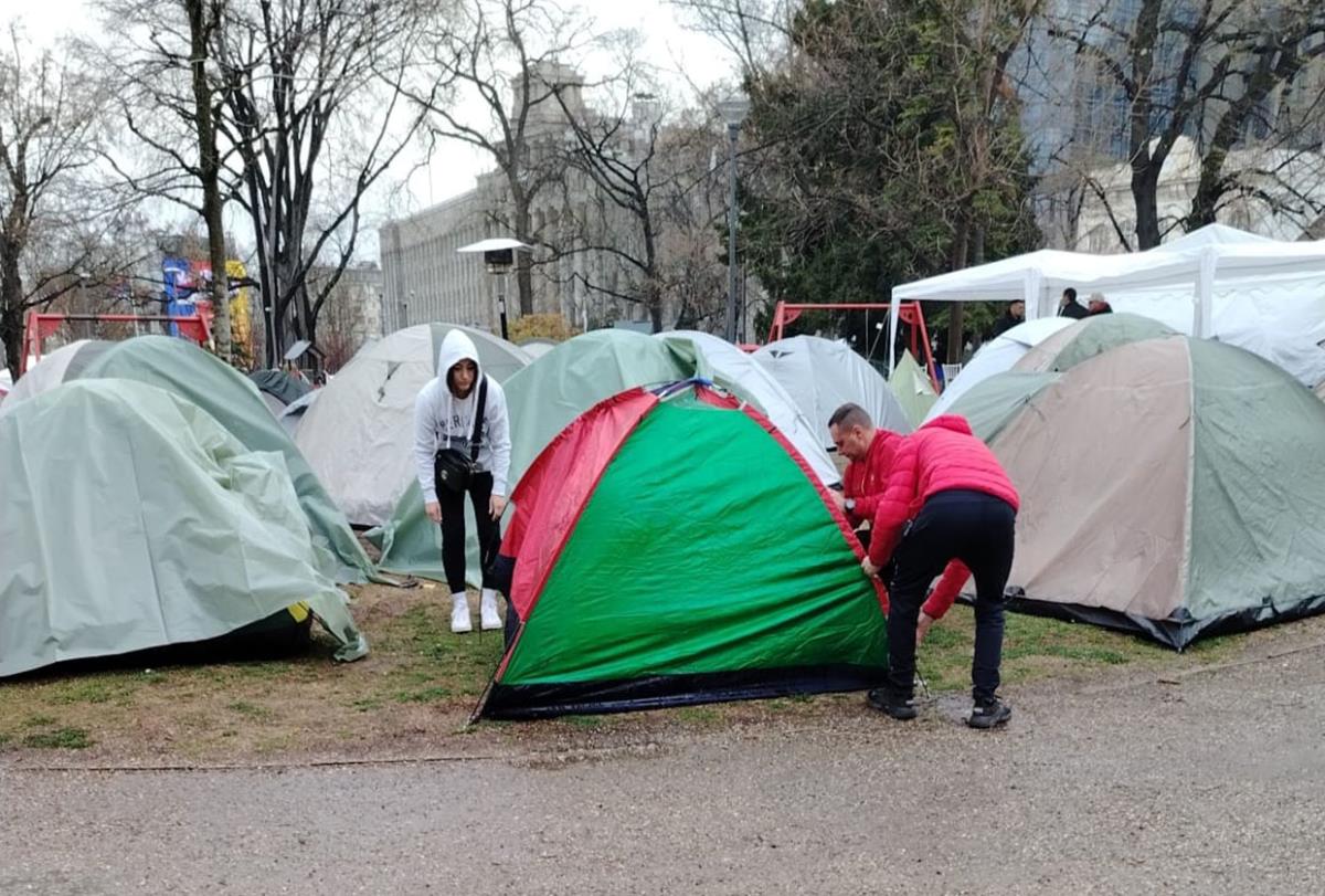 WhatsApp Image 2025-03-11 at 08.40.56_8426c727.jpg