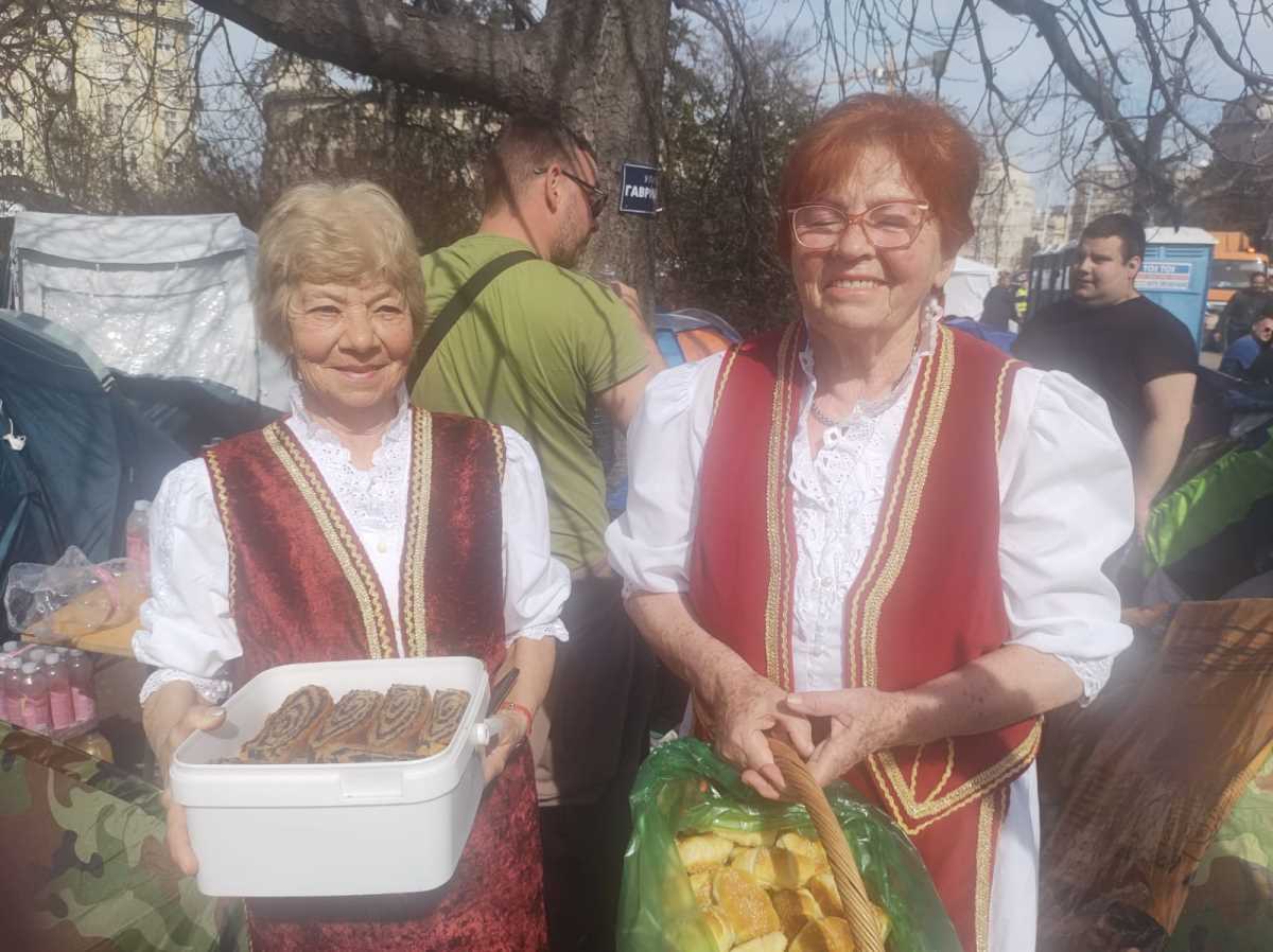 WhatsApp Image 2025-03-12 at 11.23.50_87357cbc.jpg