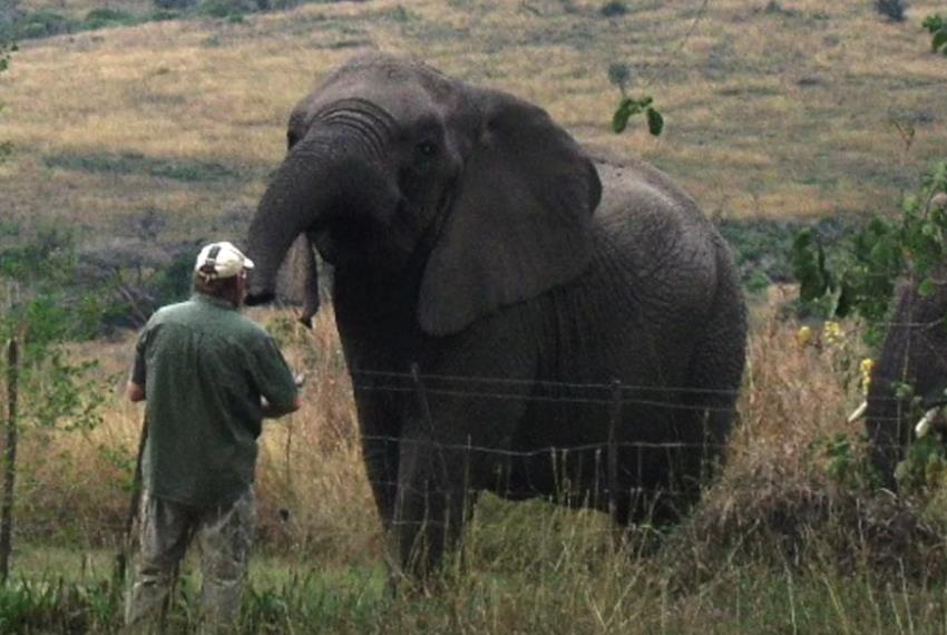 Lorens Entoni 15.png