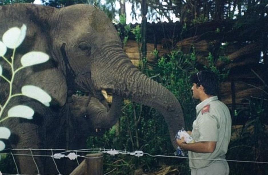 Lorens Entoni 14.png