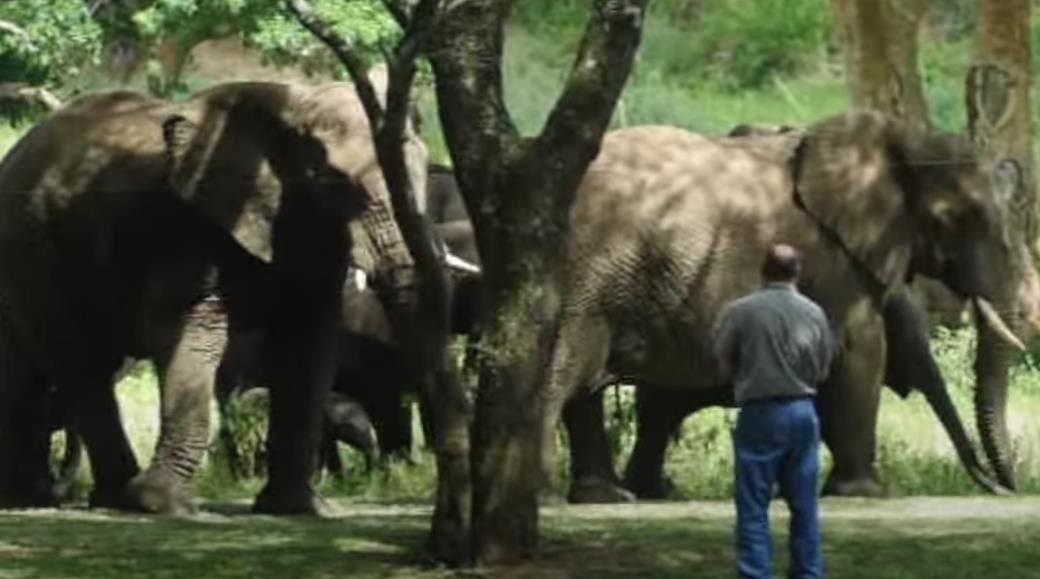 Lorens Entoni 13.png