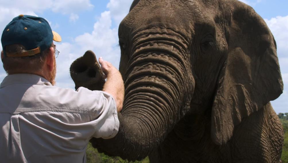 Lorens Entoni 12.png