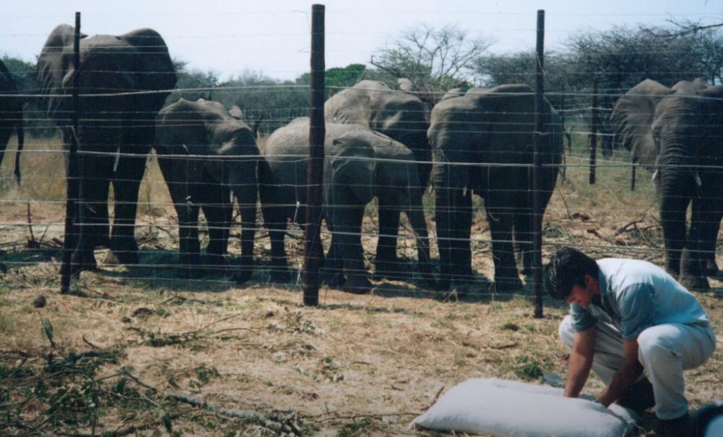 Lorens Entoni 11.png