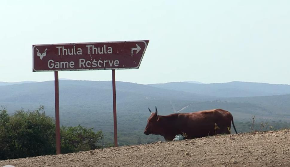 Lorens Entoni 10.png