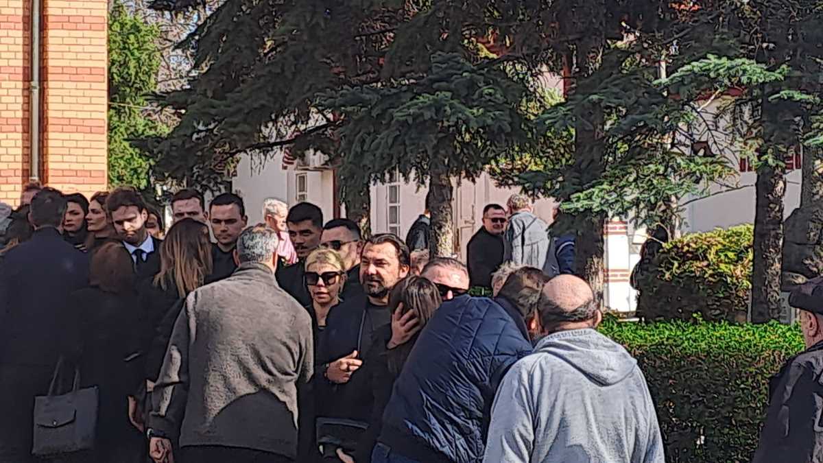 WhatsApp Image 2025-03-13 at 2.12.37 PM (1).jpeg