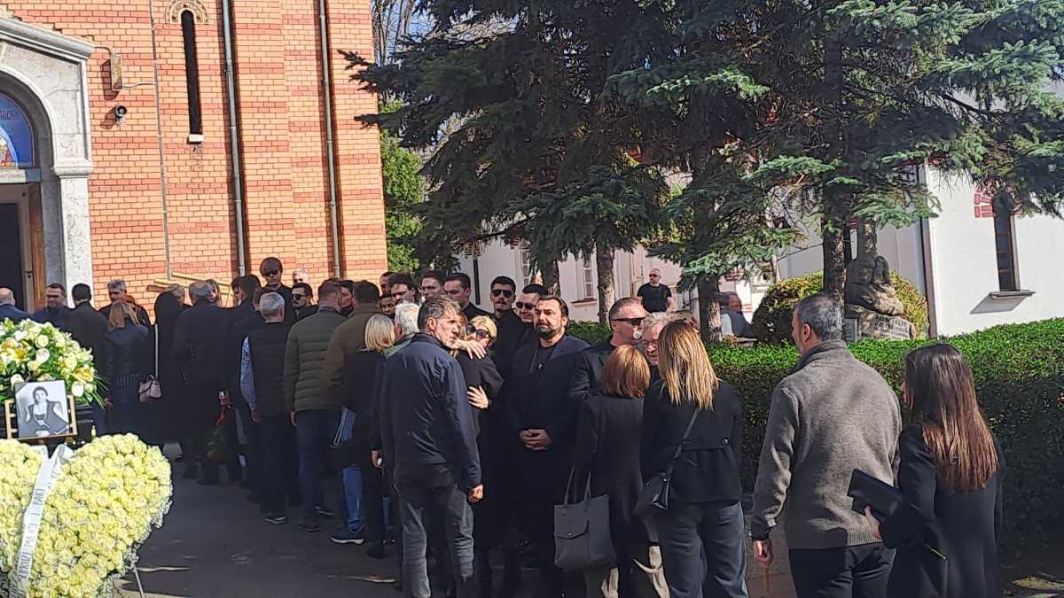 WhatsApp Image 2025-03-13 at 2.12.36 PM.jpeg