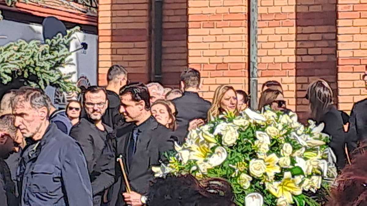 WhatsApp Image 2025-03-13 at 2.11.42 PM (2).jpeg