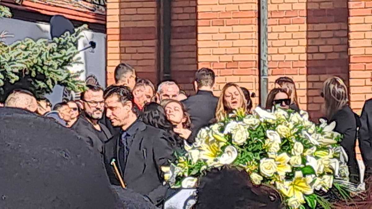 WhatsApp Image 2025-03-13 at 2.11.42 PM (1).jpeg