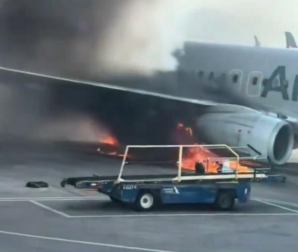 Screenshot 2025-03-14 080752.jpg