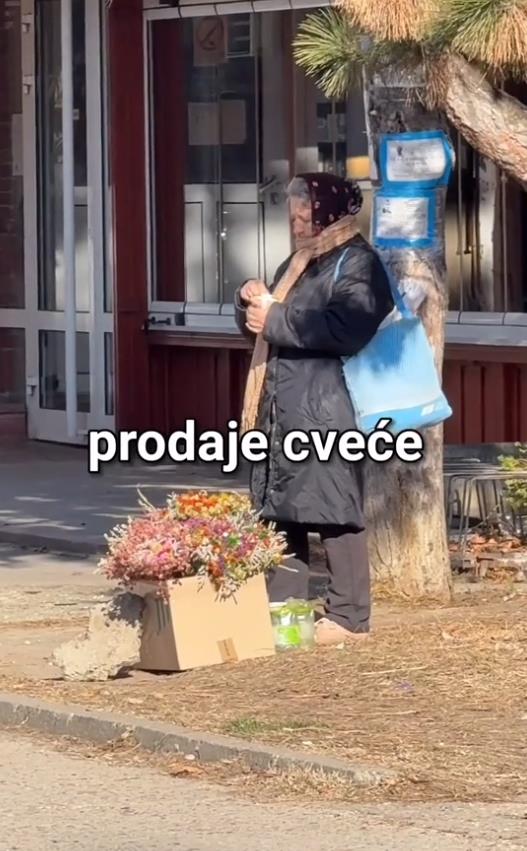 Screenshot 2025-03-14 104747.png