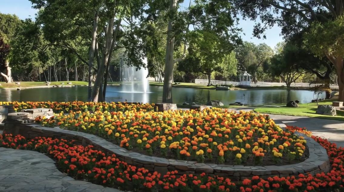 Majkl Džeksonov ranč 9.png