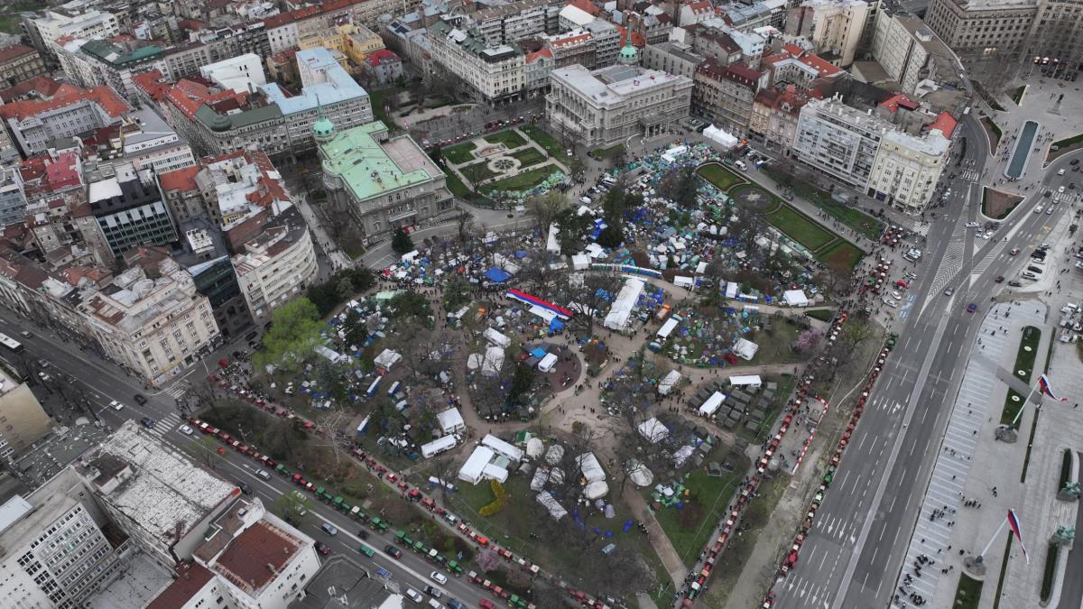 WhatsApp Image 2025-03-14 at 5.39.28 PM (4).jpeg