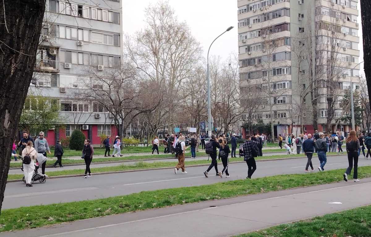 WhatsApp Image 2025-03-15 at 12.47.55_dcc29d94.jpg