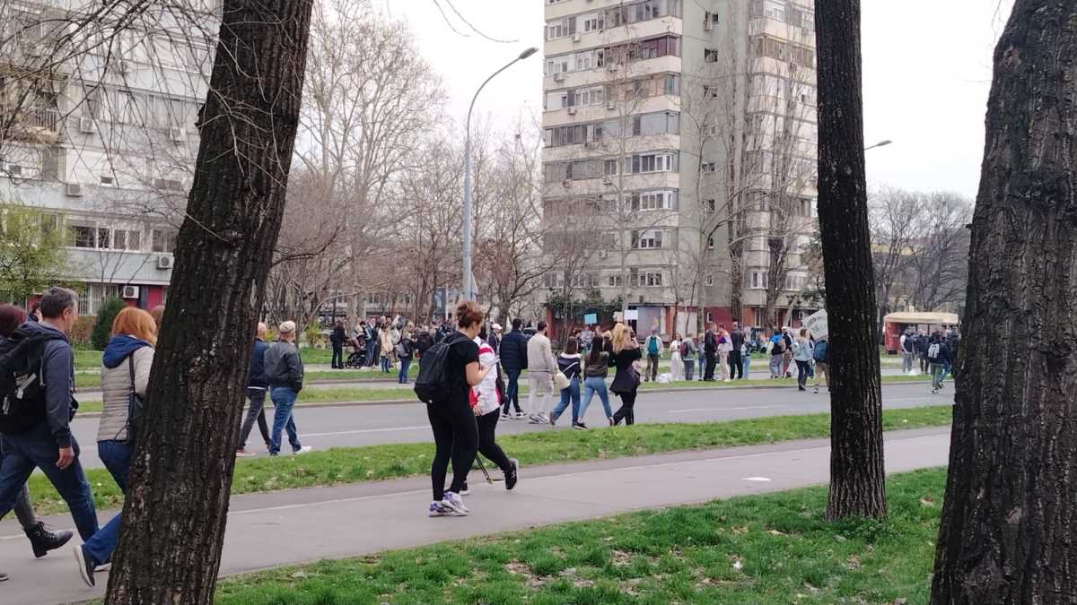 WhatsApp Image 2025-03-15 at 12.47.37_9bc674f6.jpg