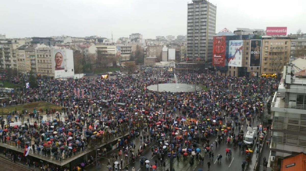 WhatsApp Image 2025-03-15 at 6.52.24 PM (1).jpeg