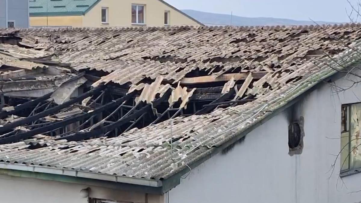 Screenshot 2025-03-16 095443 copy.png