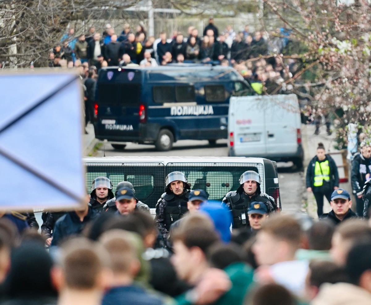 WhatsApp Image 2025-03-17 at 5.09.37 PM (1).jpeg