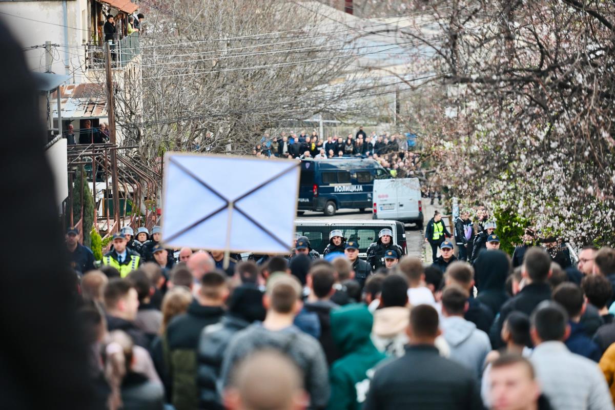 WhatsApp Image 2025-03-17 at 5.09.37 PM.jpeg