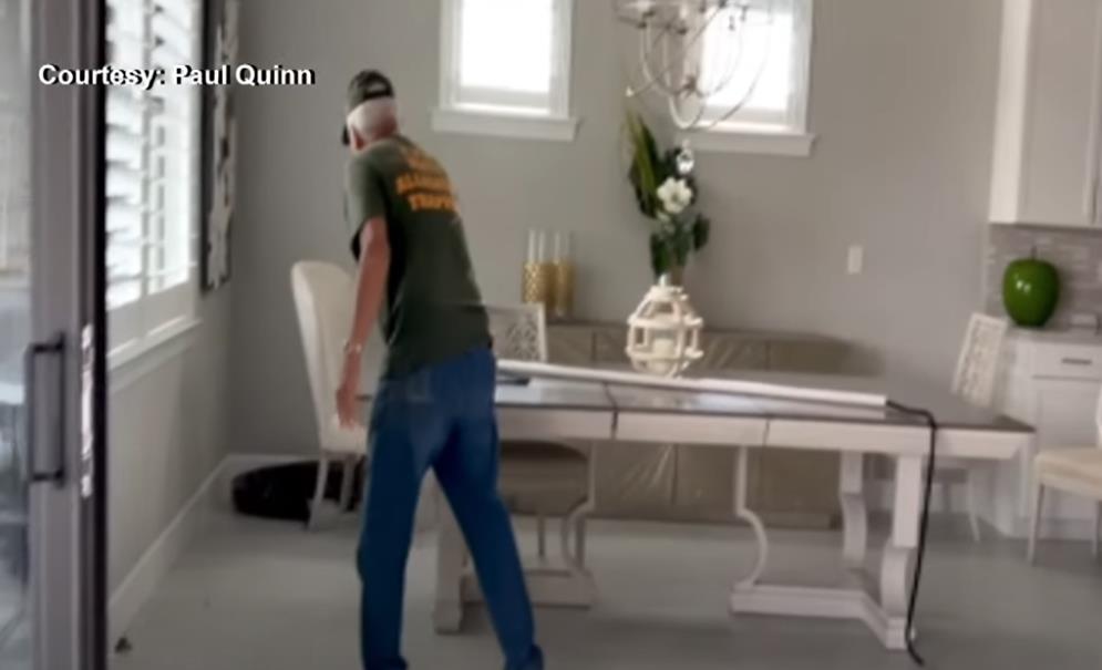 Pol Kvin zatekao aligatora u kuhinji.png