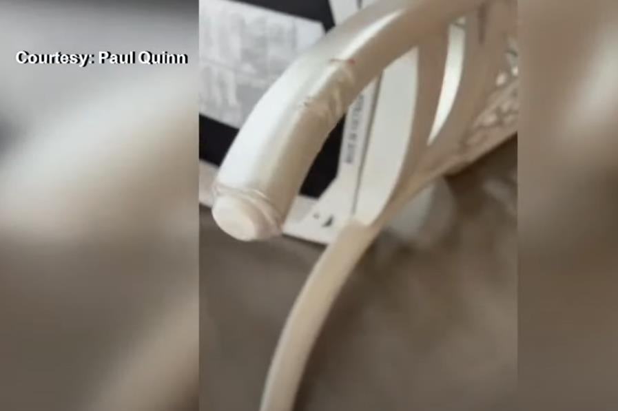 Pol Kvin zatekao aligatora u kuhinji 6.png