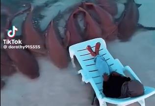 Screenshot 2025-03-18 092658.jpg