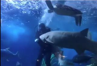 Screenshot 2025-03-18 092735.png