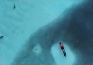 Screenshot 2025-03-18 092747.png