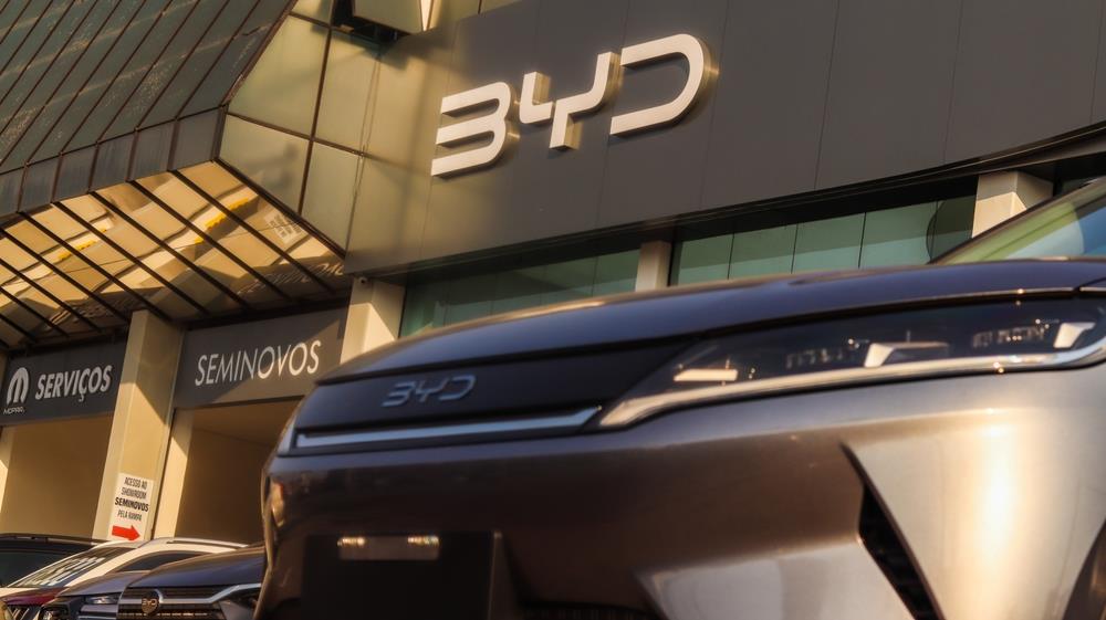 BYD (2).jpg