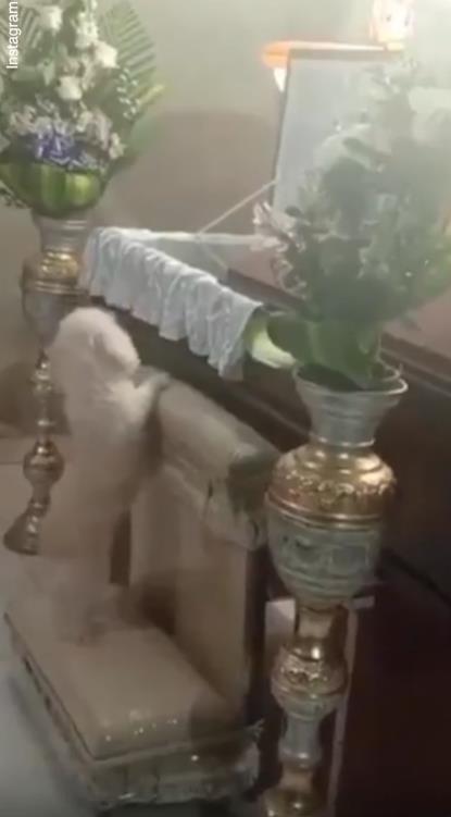 Screenshot 2025-03-19 203311.png