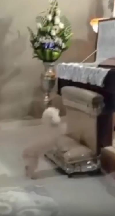 Screenshot 2025-03-19 203317.png