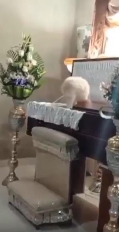 Screenshot 2025-03-19 203329.png