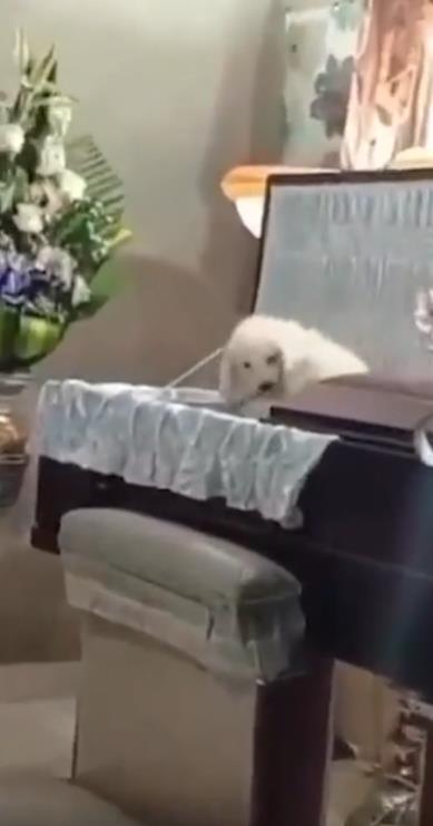 Screenshot 2025-03-19 203334.png