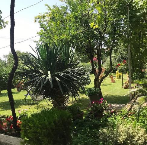 Screenshot 2025-03-20 091323.png