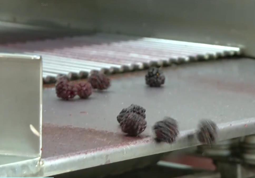 2025-03-21 15_26_39-EON - Kanali.png