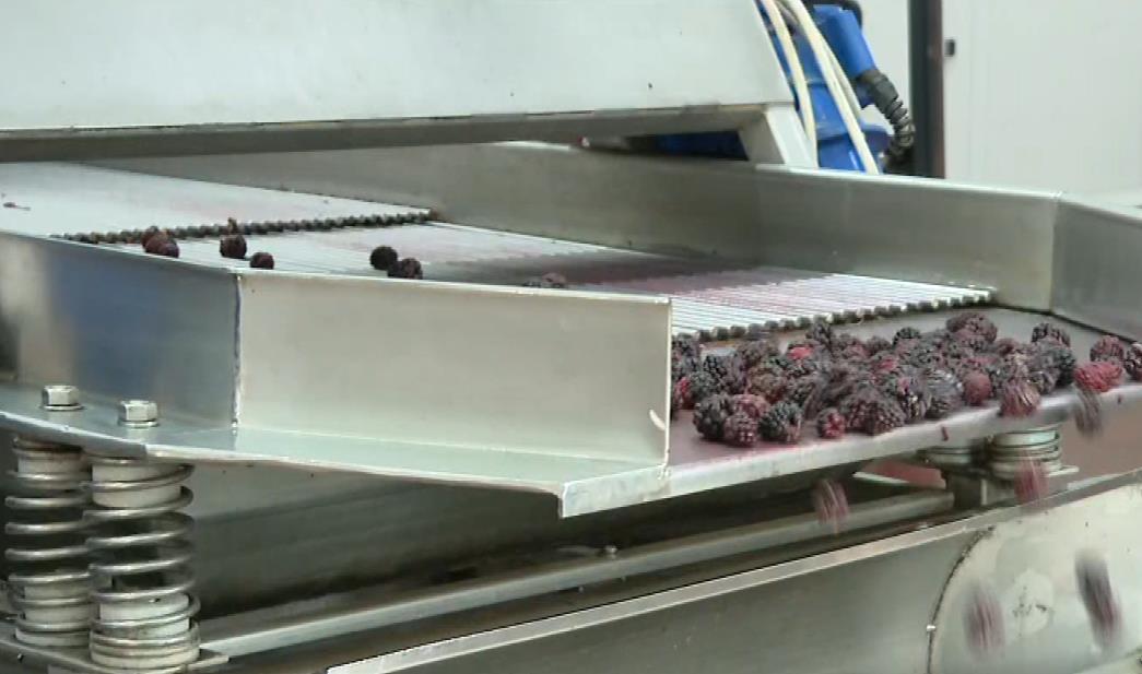 2025-03-21 15_26_35-EON - Kanali.png