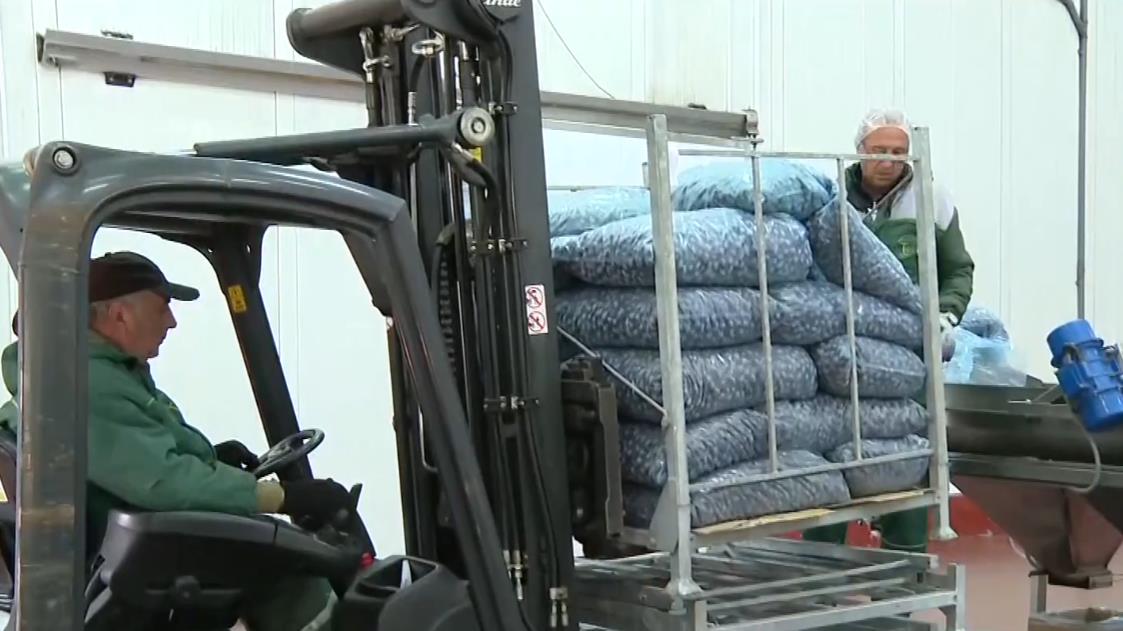 2025-03-21 15_26_12-EON - Kanali.png