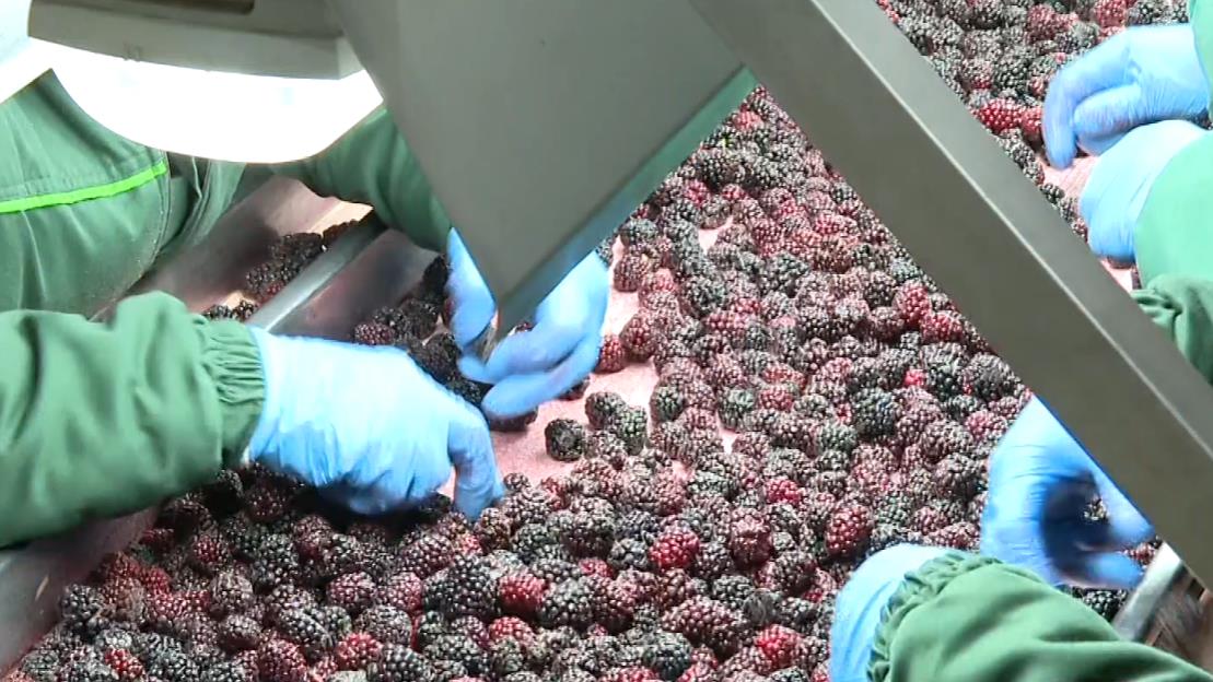 2025-03-21 15_27_42-EON - Kanali.png