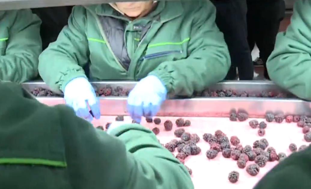 2025-03-21 15_27_16-EON - Kanali.png