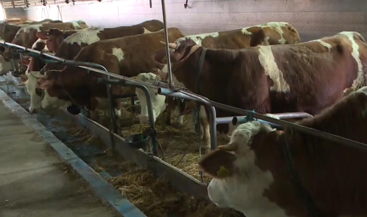 2025-03-21 16_20_51-EON - Kanali.png