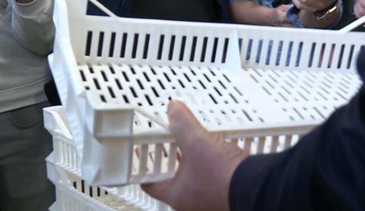 Screenshot 2025-03-21 170608.png