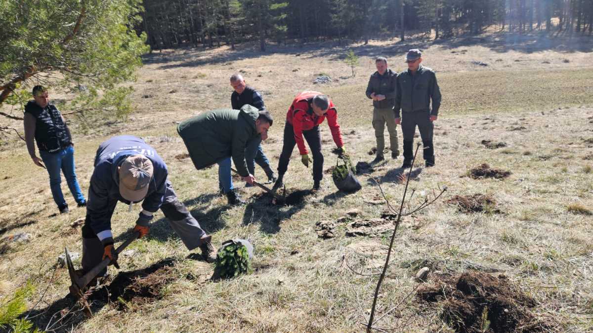 1742570606_prijepolje-posumljavanje-fotorina7 (1).jpg