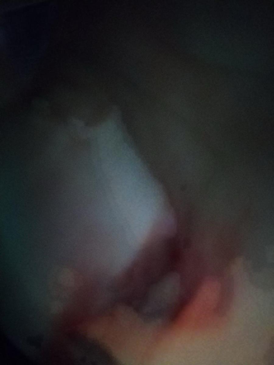 WhatsApp Image 2025-03-21 at 9.01.12 PM.jpeg