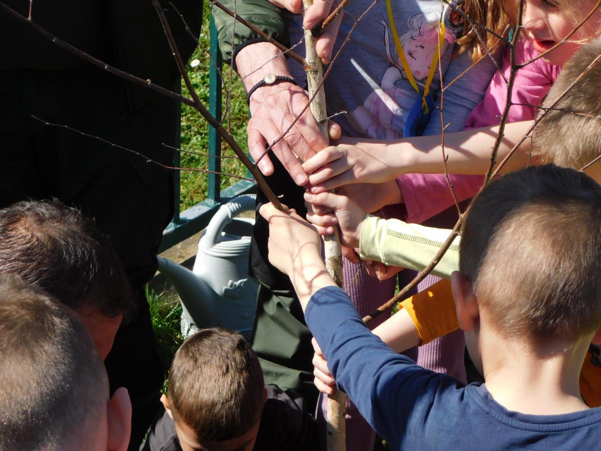 LOZNICA - Vredne ruke.JPG