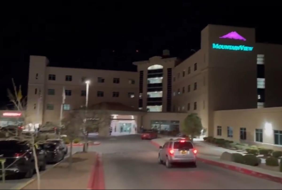 Screenshot 2025-03-22 094123 copy.jpg