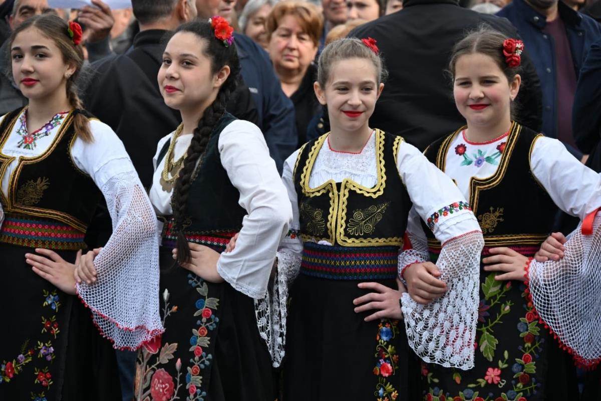 buducnostsrbijeav (8).jpeg